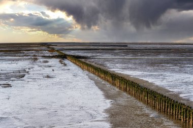 Wadden Denizi 'nin çamurlu düzlüğü. Düşük gelgitte UNESCO Dünya Mirası sahası. Ameland, Hollanda.