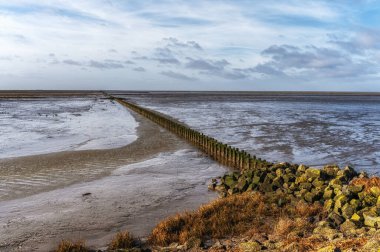 Wadden Denizi 'nin çamurlu düzlüğü. Düşük gelgitte UNESCO Dünya Mirası sahası. Ameland, Hollanda.