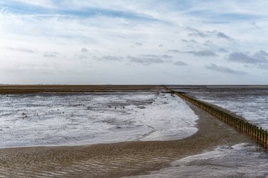 Wadden Denizi 'nin çamurlu düzlüğü. Düşük gelgitte UNESCO Dünya Mirası sahası. Ameland, Hollanda.