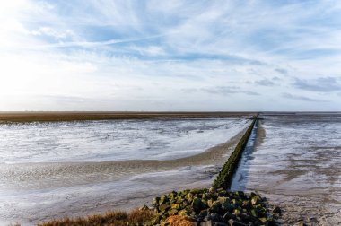Wadden Denizi 'nin çamurlu düzlüğü. Düşük gelgitte UNESCO Dünya Mirası sahası. Holwerd, Hollanda.