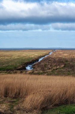 Holwerterpolder, UNESCO Wadden Deniz Mirası sahasının eşsiz bir parçasıdır..