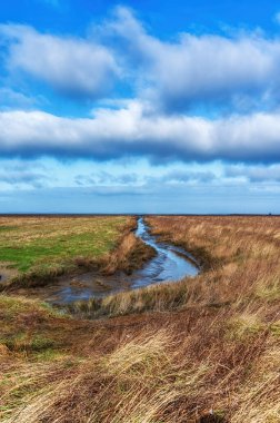 Holwerterpolder, UNESCO Wadden Deniz Mirası sahasının eşsiz bir parçasıdır..