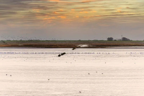Вид Вадденское Море Острове Амеланд Нидерландах Автумне — стоковое фото