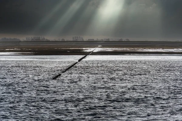 Морський Грязьовий Ландшафт Низькій Припливній Воді Вадензі Фрісленд Нідерланди — стокове фото