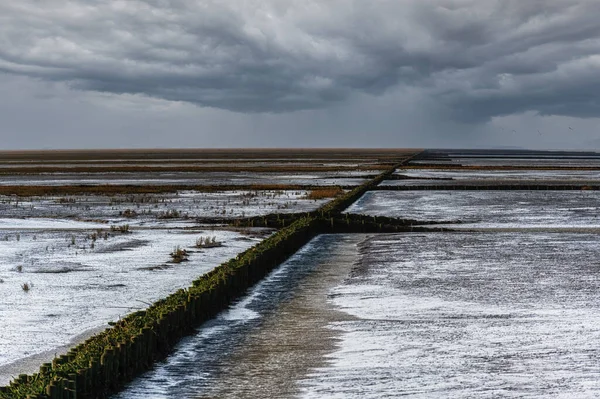 План Вадденського Моря Unesco World Heritage Site Амеланд Нідерланди — стокове фото