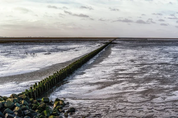 Mudflat Wadden Sea Místo Světového Dědictví Unesco Odlivu Ameland Nizozemsko — Stock fotografie