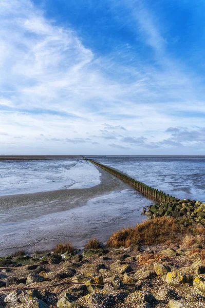 Mudflat Της Θάλασσας Wadden Μνημείο Παγκόσμιας Κληρονομιάς Unesco Στο Low — Φωτογραφία Αρχείου
