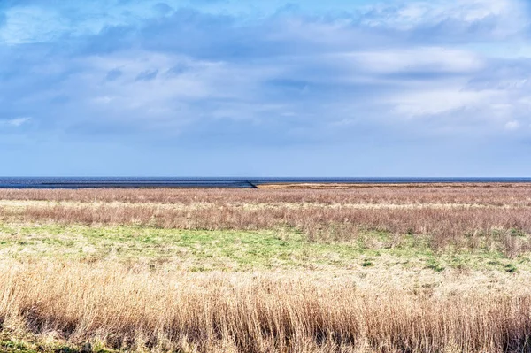 Holwerterpolder Ist Einzigartiger Teil Des Unesco Weltnaturerbes Wattenmeer — Stockfoto