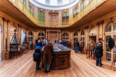 Haarlem, Hollanda - 11 Şubat 2023: Haarlem 'deki Teylers Doğal Tarih Müzesi