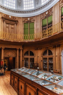 Haarlem, Hollanda - 11 Şubat 2023: Haarlem 'deki ünlü Teylers Müzesi, dünyada 18. yüzyıldan kalma otantik bir binası ve iç mimarisi olan tek müzedir.