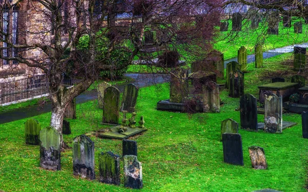 Tree Graveyard Mary Heritage Centre Tourist Information Gateshead Quayside — Stock Photo, Image