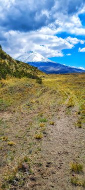 Sierra 's Highlands, Pichincha, Cayambe, Cotopaxi' nin Volkanları 'nın önünde öğle vakti Quito, Ekvador yakınlarında mavi gökyüzü ile.
