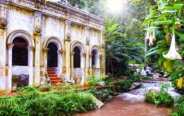 Wat Sakithaka (Wat Pha Lat) Chiang Mai Eyaleti Tayland.