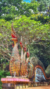 Ejderha heykeli Doi Suthep tapınak Tayland Chiang Mai yakınındaki