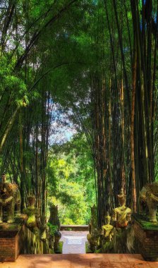 Wat Sakithaka (Wat Pha Lat) Chiang Mai Eyaleti Tayland.