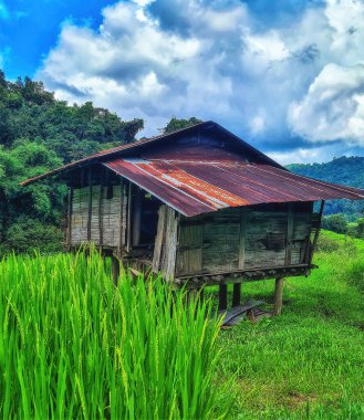 doi Inthanon Milli Parkı içinde dağ tesisi