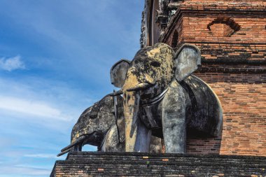 fil heykeli, wat chedi luang Tayland tapınak