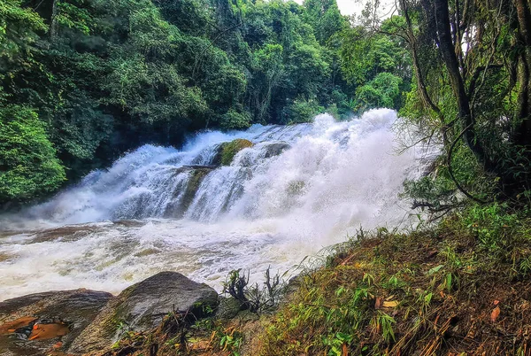 stock image Pha Dok Sieo waterfall, Medium falls in tropical forest. Doi Inthanon national park, Chiang Mai, Thailand