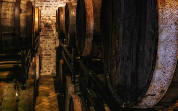 stock image Old, Grungy Traditional Beer Cellar with Oak Barrels