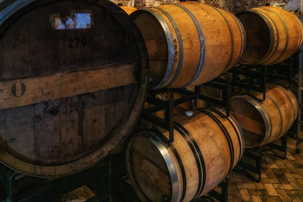 旧的又脏又臭的传统啤酒地窖与橡木桶 — 图库照片