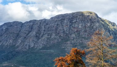 Franschhoek şaraphaneleri ve Güney Afrika 'nın dağlık kırsalları