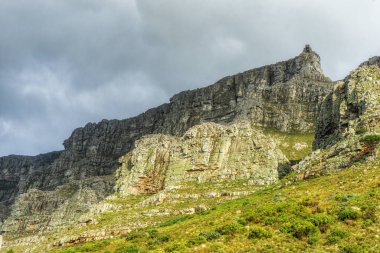 Yeşil botanik bahçesinden ve ulusal parktan kopyalanmış mavi gökyüzü ve arka plan manzarası. Cape Town, Güney Afrika 'daki Masa Dağı' nda yürüyüş yaparak doğada barışı keşfettik.