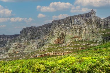 Table Mountain, Güney Afrika 'da Cape Town' a tepeden bakan düz tepeli bir dağdır..