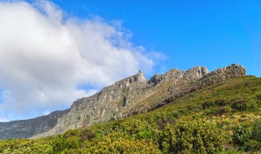 Cape Town, Güney Afrika 'daki Masa Dağı manzarası. Güzel manzaralı doğal manzara ve doğa stoklarında tatil yaparken doğa yürüyüşü ve macera için turistik cazibe.