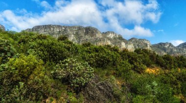 Table Dağı Cape Town şehrine bakar ve Güney Afrika 'nın ünlü bir simgesidir.