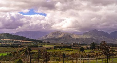 Arka planda dağlar olan bir şaraphane manzarası, Güney Afrika