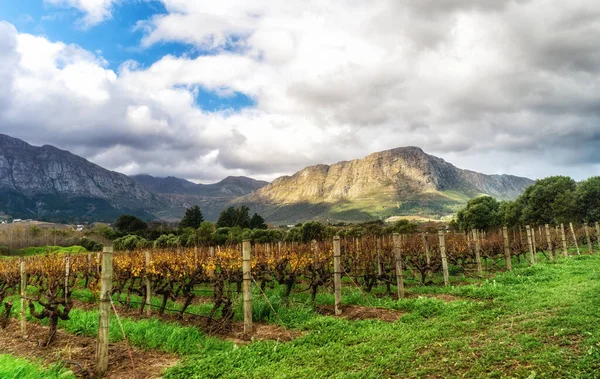 Franschhoek Winelands Mountain Countryside South Africa — Stock Photo, Image