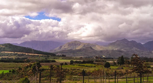 背景に山のあるワイナリーの眺め 南アフリカ — ストック写真