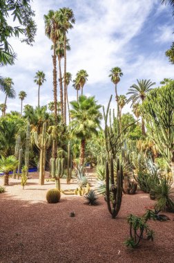 Marakeş 'teki Majorelle Garden' da. Kalabalık bir şehrin ortasında bir vaha gibi. Marakeş, Fas
