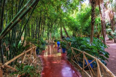 Marakeş 'teki Majorelle Garden' da. Kalabalık bir şehrin ortasında bir vaha gibi. Marakeş, Fas