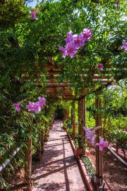 Marakeş 'teki Majorelle Garden' da. Kalabalık bir şehrin ortasında bir vaha gibi. Marakeş, Fas