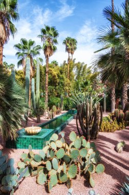 Marakeş 'teki Majorelle Garden' da. Kalabalık bir şehrin ortasında bir vaha gibi. Marakeş, Fas