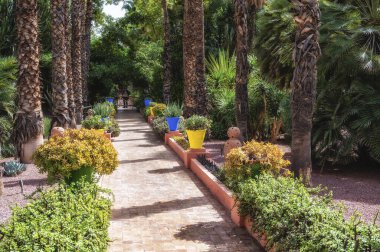 Marakeş 'teki Majorelle Garden' da. Kalabalık bir şehrin ortasında bir vaha gibi. Marakeş, Fas