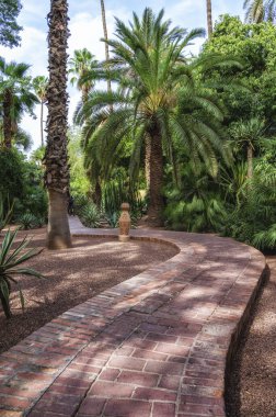 Marakeş 'teki Majorelle Garden' da. Kalabalık bir şehrin ortasında bir vaha gibi. Marakeş, Fas