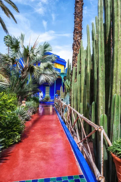 Majorelle Garden Marrakech Oasis Medio Una Bulliciosa Ciudad Marrakech Marruecos Imagen de stock