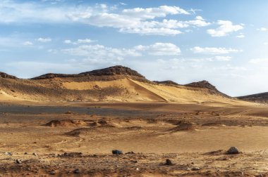 Sahra 'da taş çöl, Quarzazate, Fas, Afrika' da. Sahra 'da taş çöl