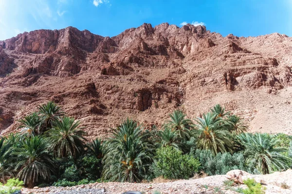 Een Landschap Van Tinghir Vallei Zuid Morocco Noord Afrika — Stockfoto