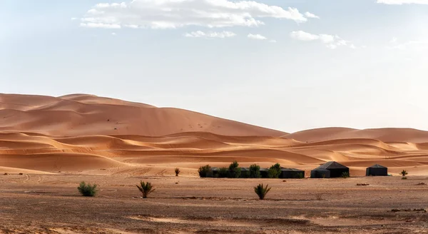 Campeggio Con Tende Sopra Dune Sabbia Nel Deserto Del Sahara — Foto Stock