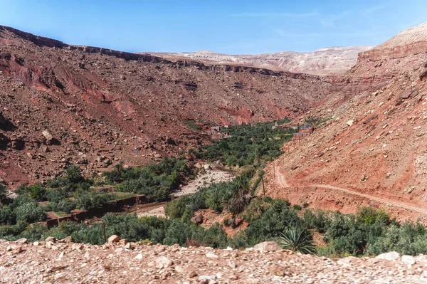 摩洛哥阿特拉斯山脉 达迪斯峡谷沿前大篷车路线的典型柏柏尔村庄概览 粉色和红色的房子 红色的山和绿色的树 沙漠绿洲 — 图库照片