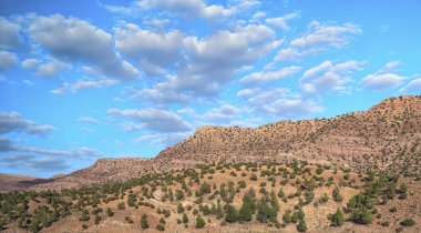 Sahra 'da taş çöl, Quarzazate, Fas, Afrika' da. Sahra 'da taş çöl