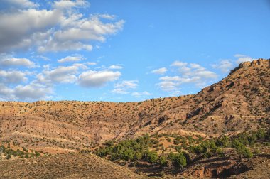 Sahra 'da taş çöl, Quarzazate, Fas, Afrika' da. Sahra 'da taş çöl