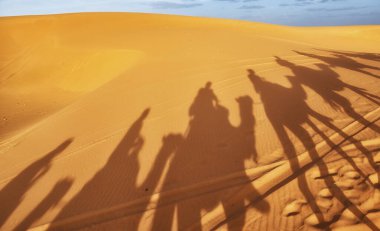 Fas çölünde deve gölgesi.