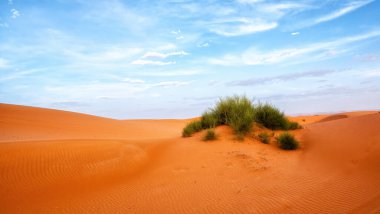 Sahra Çölü 'ndeki kum tepeleri, Merzouga, Fas - Fas Çölü' ndeki turuncu kum tepeleri - Sahra Çölü, Fas