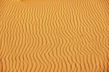 Rüzgar çölde güzel bir geçici kum deseni oluşturdu. Kum donmuş dalgalara benziyor..