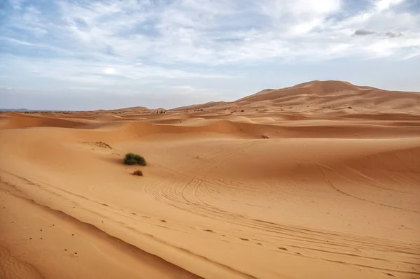 Sand dunes in the desert. Arid landscape of the Sahara desert, Morocco