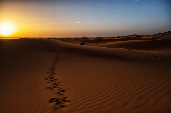 Footprints in the sand at the sahara desert, Merzouga, Morocco, North Africa